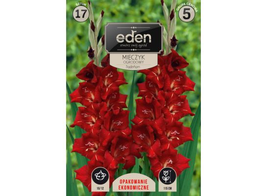 Mieczyk Traderhorn 17 sztuk Eden