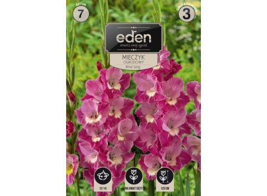 Mieczyk Wind Song 18 sztuk Eden