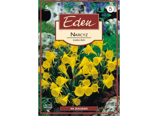 Narcyz Golden Bells 5 sztuk Eden