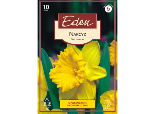 Narcyz trąbkowy Dutch Master 10 sztuk Eden