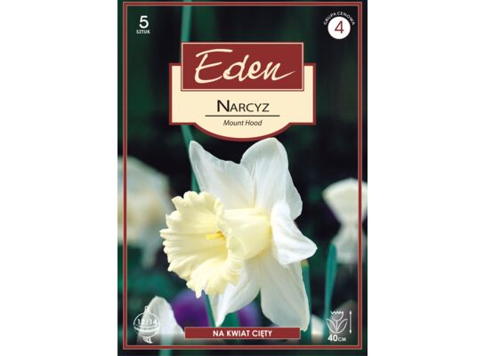 Narcyz trąbkowy Mount Hood 5 sztuk Eden