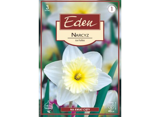 Narcyz wielkoprzykoronkowy Ice Follies 3 sztuki Eden