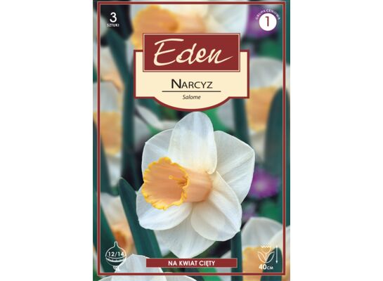 Narcyz wielkoprzykoronkowy Salome 3 sztuki Eden