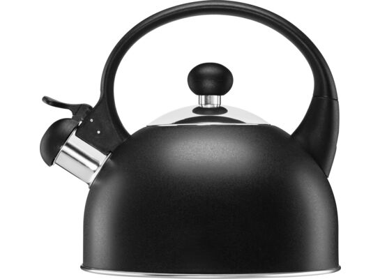 Czajnik ze stali nierdzewnej MOLLY 1,7 l antracyt