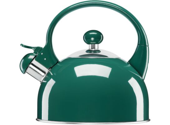 Czajnik ze stali nierdzewnej MOLLY 1,7 l zielony