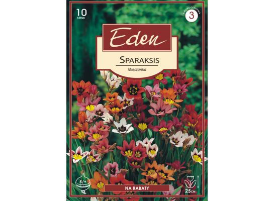 Sparaksis cebulki mix 10 sztuk Eden