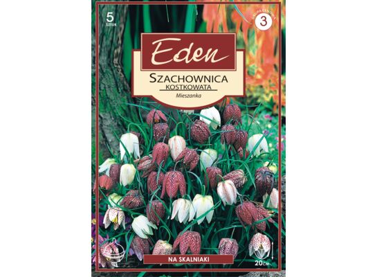Szachownica Fritillaria Meleagris 5 sztuk Eden