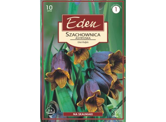 Szachownica Fritillaria Uva Vulpis 10 sztuk Eden
