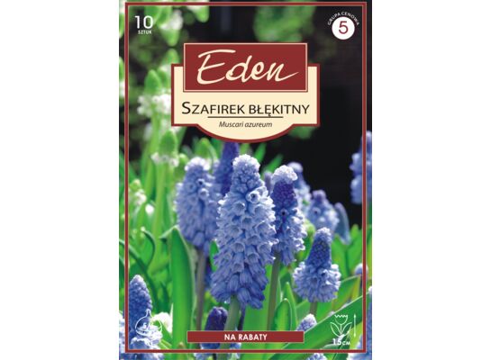 Szafirek Azureum 10 sztuk Eden