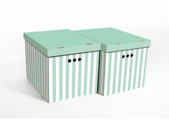 Pudło PASKI zielone XL 2 szt.