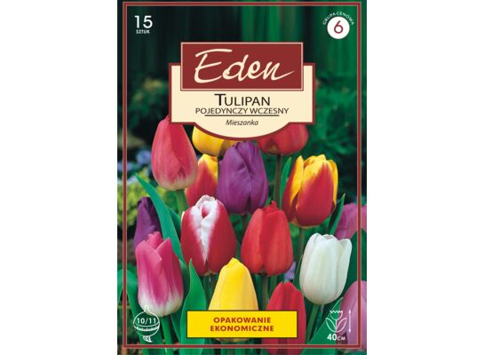 Tulipan pojedyńczy wczesny mix 15 sztuk Eden