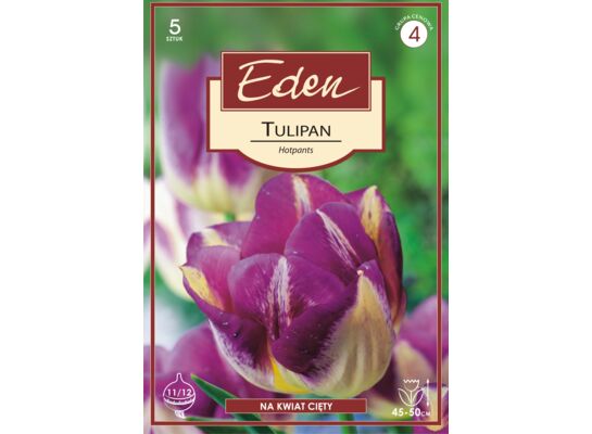 Tulipan Triumph Hotpants 5 sztuk Eden