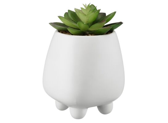 Sztuczny sukulent 10 x 17 biały