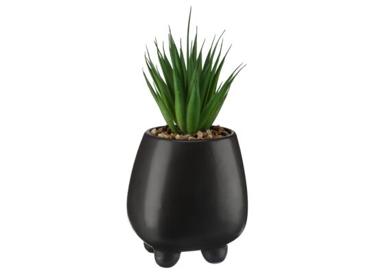 Sztuczny sukulent 10 x 22 antracyt