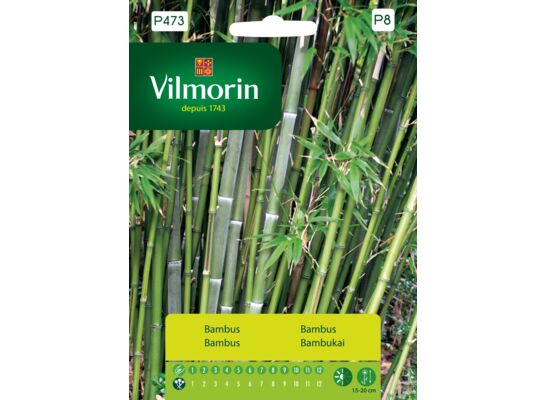 Bambus mrozoodporny 1 g Vilmorin Garden
