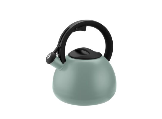 Czajnik nierdzewny DANTE 3 l zielony