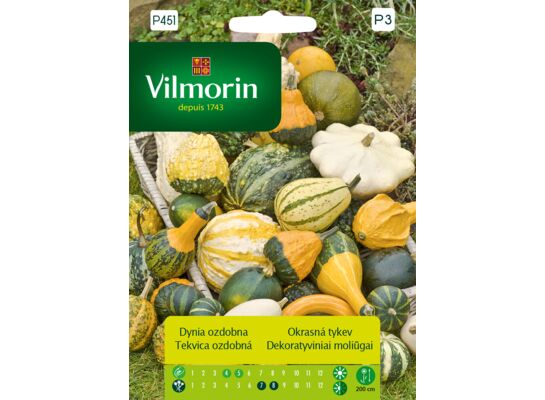 Dynia ozdobna mix 2 g Vilmorin Garden