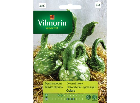 Dynia ozdobna Cobra 6 z Vilmorin Garden
