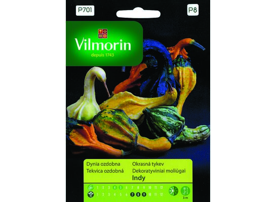Dynia ozdobna Indy 1 g Vilmorin Garden