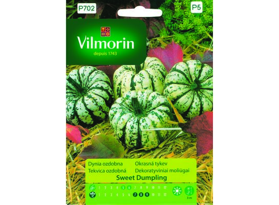 Dynia ozdobna Sweet Dumpling 2 g Vilmorin Garden
