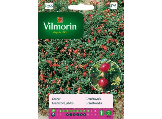 Granat 30 z Vilmorin Garden