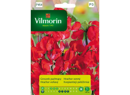 Groszek pachnący czerwony 2 g Vilmorin Garden