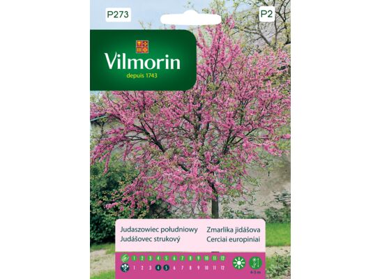 Judaszowiec południowy 1 g Vilmorin Garden