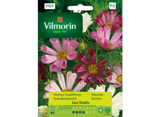 Kosmos muszelkowy Sea Shells 0,2 g Vilmorin Garden