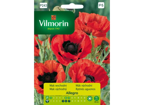 Mak wschodni Allegro 0,2 g Vilmorin Garden