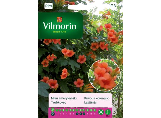 Milin amerykański 0,3 g Vilmorin Garden