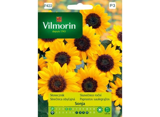 Słonecznik Sonja 0,5 g Vilmorin Garden