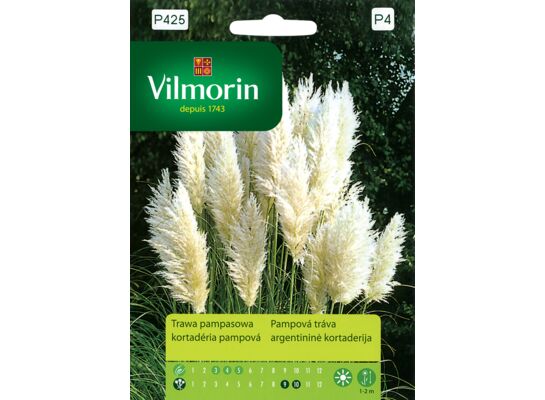Trawa pampasowa biała 0,1 g Vilmorin Garden