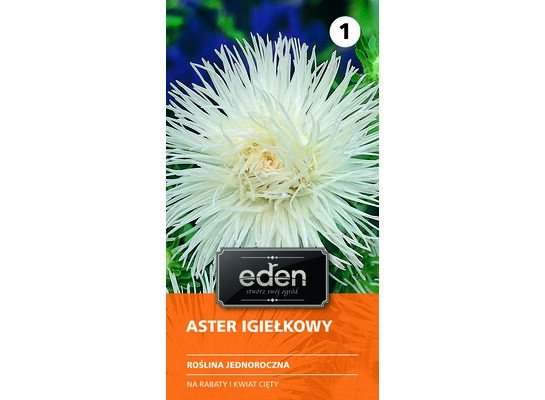 Aster chiński igiełkowy Angora 0,5 g Eden
