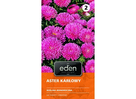 Aster chiński karłowy Holderlin 0,5 g Eden