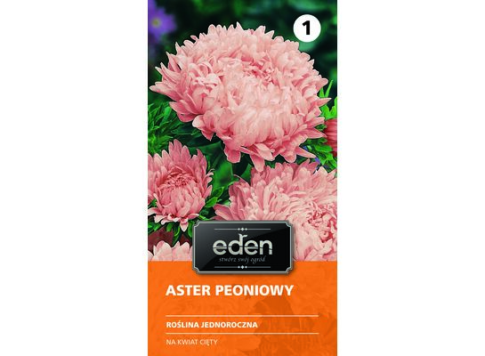 Aster chiński peoniowy Janina 0,5 g Eden