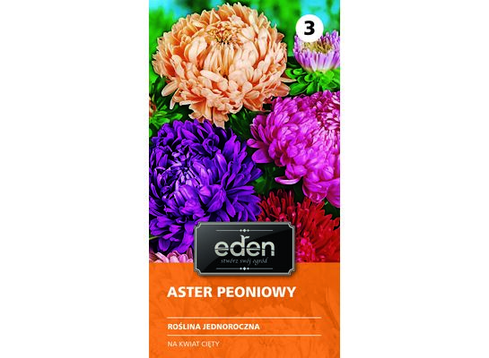 Aster chiński peoniowy mix 1 g Eden