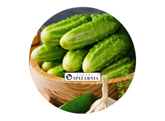 Wieczko Ø100/6z ogórek 10 szt.