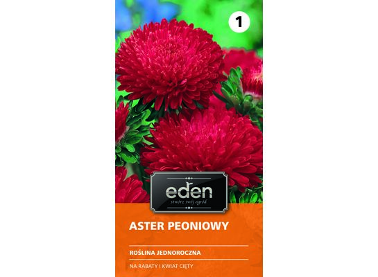 Aster chiński peoniowy Stanisław 0,5 g Eden