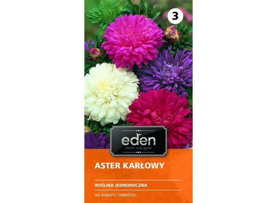 Aster chiński karłowy mix 1 g Eden
