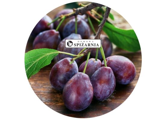 Wieczko Ø66/4z śliwki 10 szt.