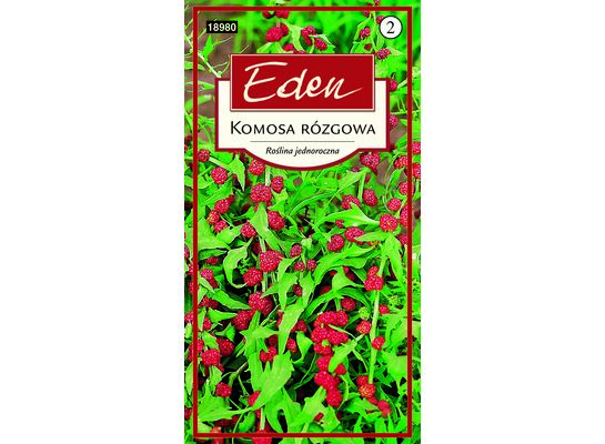 Komosa rózgowa Szpinak truskawkowy 0,4 g Eden