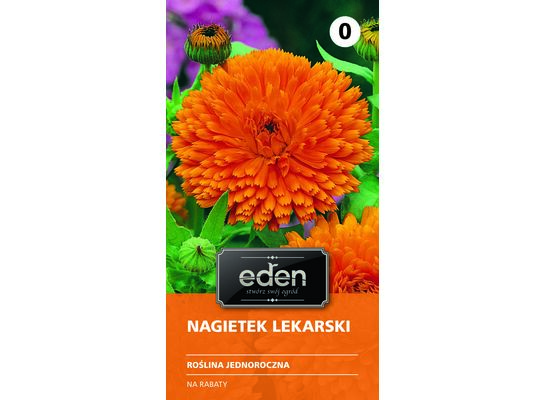 Nagietek lekarski pomarańczowy Geisha Girls 1 g Eden