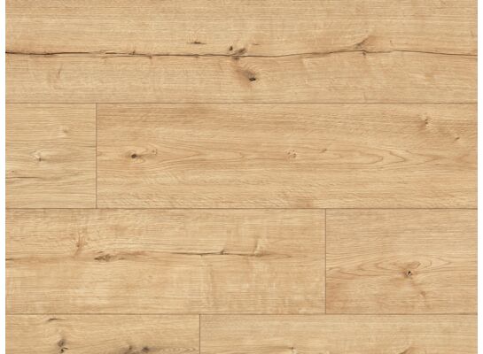 Panel podłogowy Dąb Avinion Rustic AC5 8 mm