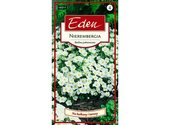 Nierembergia biała White Robe 0,1 g Eden