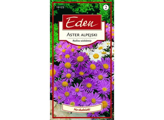 Aster alpejski mix 0,5 g Eden
