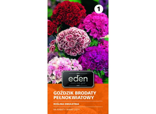 Goździk brodaty pełnokwiatowy 0,5 g Eden