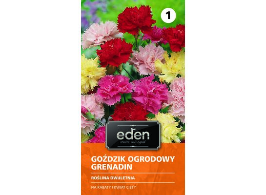 Goździk ogrodowy Grenadin 0,5 g Eden