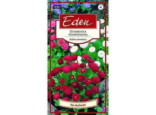 Stokrotka pomponowa mix 0,1 g Eden