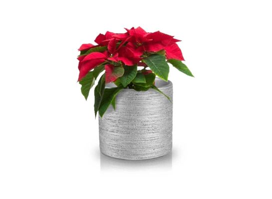 Osłonka walec srebrny 14 cm