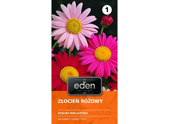 Złocień różowy 0,5 g Eden